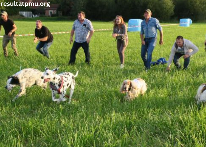 LA Voix Du Tierce