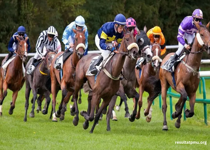 Resultat Des Courses Aujourd'hui