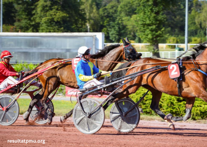 Duo Du Turf