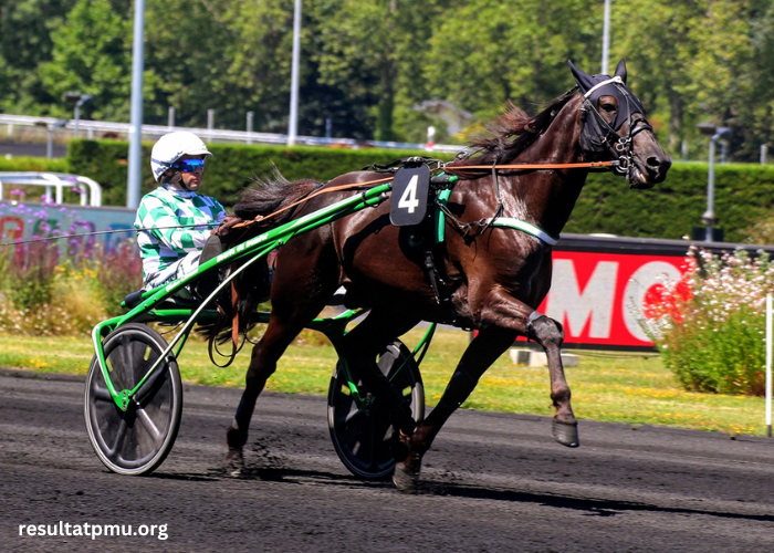 Jolie Turf Gagnant