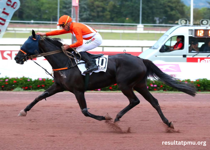 Le Duel Du Quinté