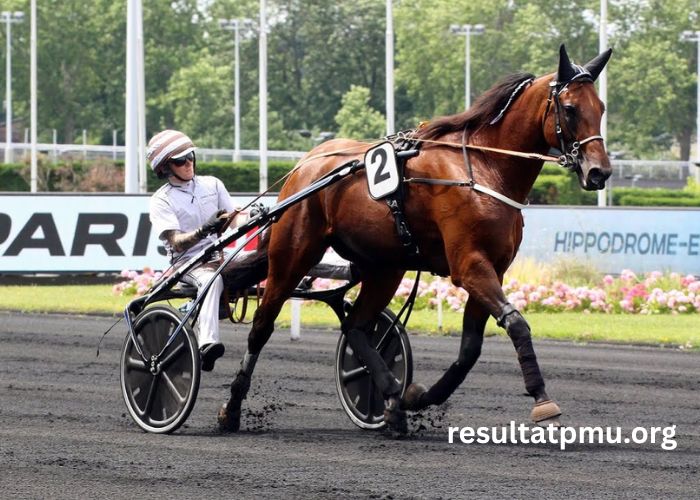 100100 Ordre Turf (2)
