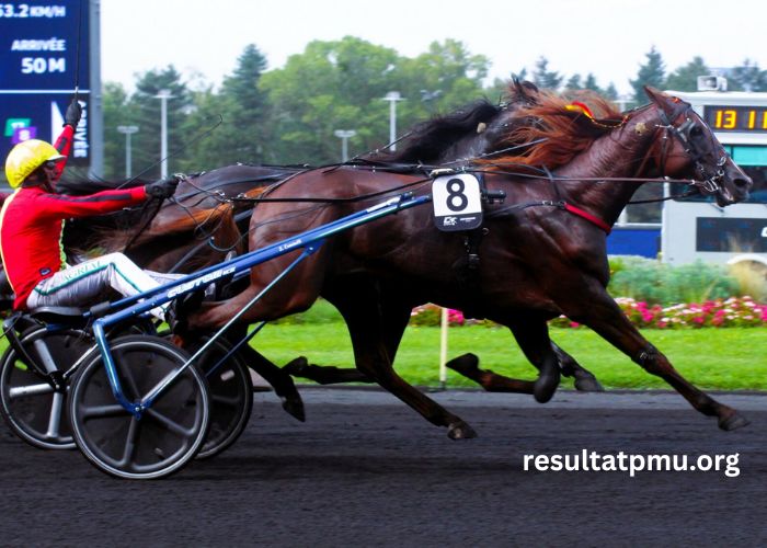 Champion Des Courses (1)