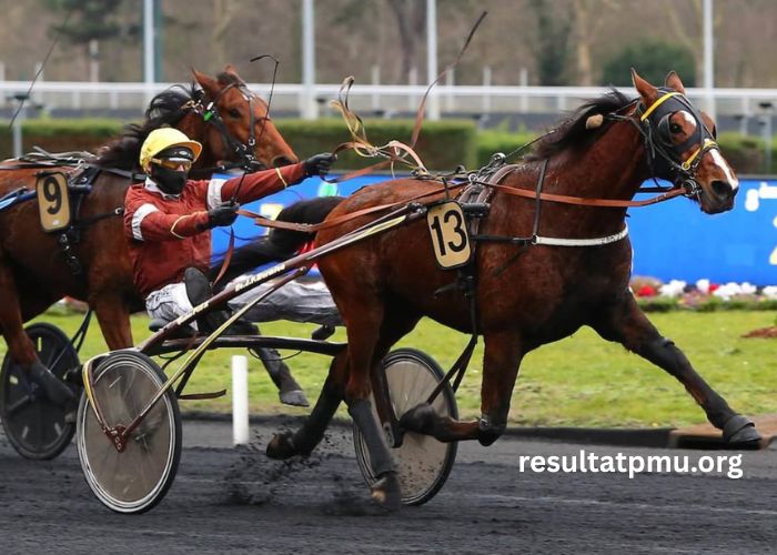 Ivoire Turf Vip