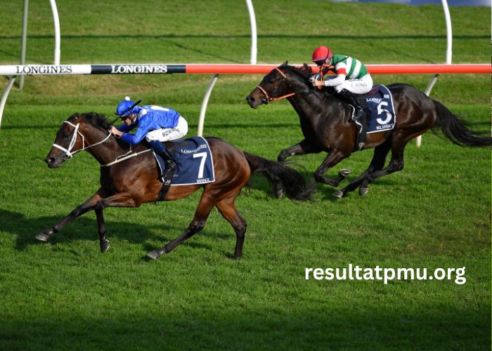 Lingodor Turf 2019 (1)