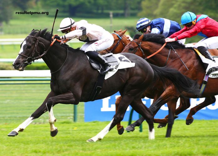 Paris Promise Turf