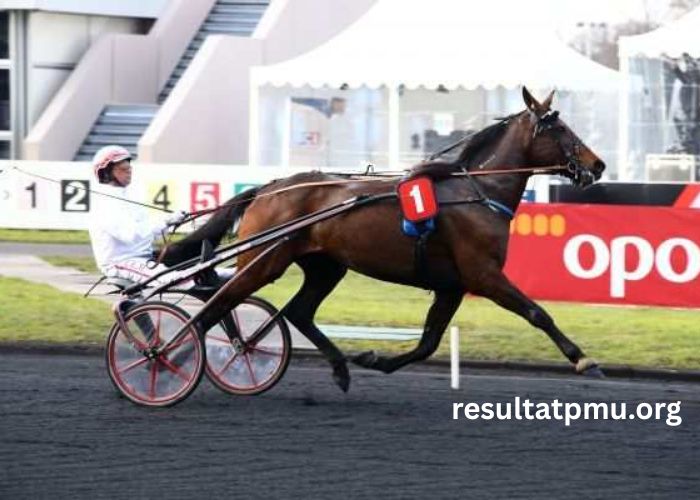 Pion Sur Pmu (3)