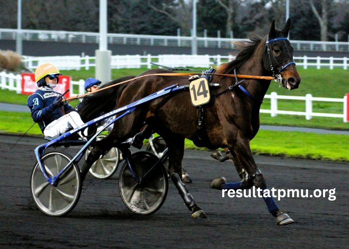 Pronostic Pmu Quinté Du Jour (2)
