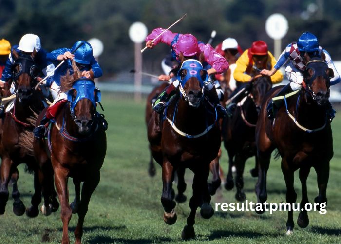 Somboturf Gagnant 1 (1)