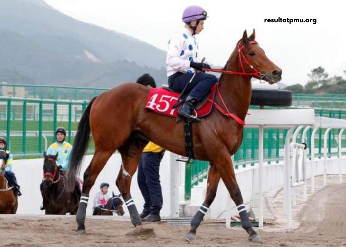Formule Sur Turf