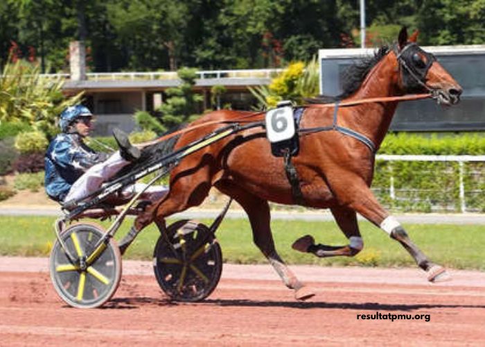 Le Tuyau Coup Sur